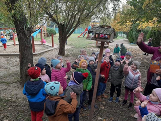 Dokarmianie ptaków