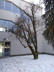 Przedszkole nr 121