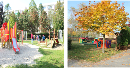 Nasz ogród